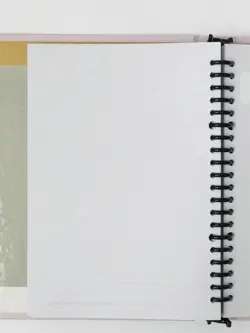 کلاسور پاستلی برگ