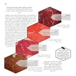 دانش حرفه‌ای آشپزی