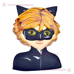 کوکی پسر گربه ای