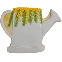 کوکی آب پاش