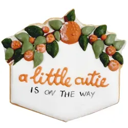 کوکی قاب نوزاد تم پرتقال