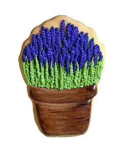 کوکی گلدان سنبل هفت سین