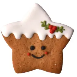 کوکی ستاره برفی