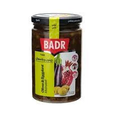 ترشی پرورده زیتون و بادمجان بدر (610 گرم)