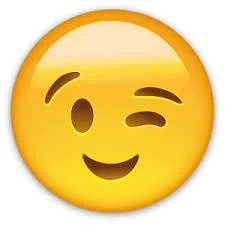 عدس درشت پرشین ( 900 گرم )