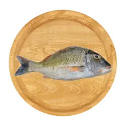 ماهی شهری (شعری)