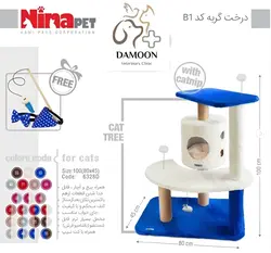 درخت گربه B1