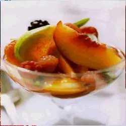 طرح توجیهی کمپوت کنسانتره