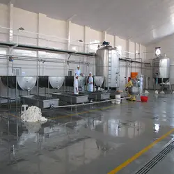 دانلود پاورپوینت تولید پنیر پیتزا