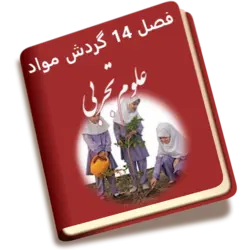 پاسخ کل فعالیت های علوم تجربی هفتم فصل ۱۴ گردش مواد