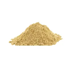 پودر سیر