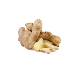 زنجبیل قلم