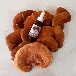 روغن گانودرما