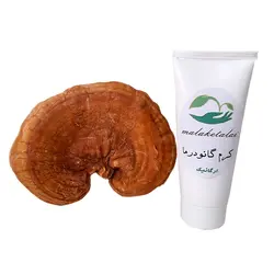 کرم گانودرما