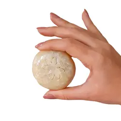 صابون گانودرما