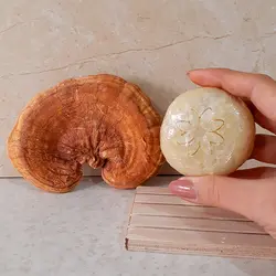 صابون گانودرما