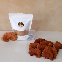 قارچ گانودرما به صورت پودر شده