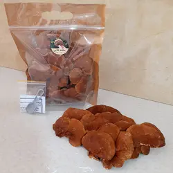قارچ گانودرما به صورت سالم
