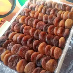 قیسی زردالو کبابی