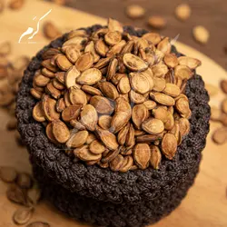 تخمه محبوبی شور