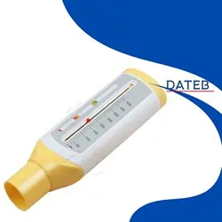 پیک فلومتر Rossmax-PF120C - داطب
