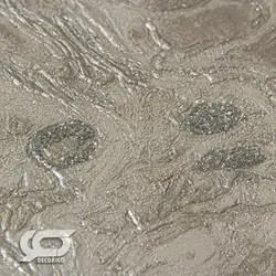 کاغذ دیواری قابل شستشو طرح انتزاعی آلبوم راکتور کد 8030