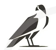 شابلون مدل G1 - دکوتارا