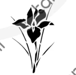 شابلون مدل T30 - دکوتارا