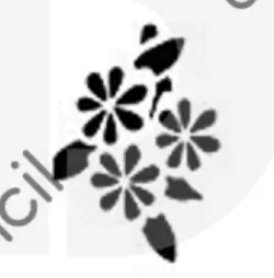 شابلون مدل T52 - دکوتارا