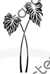 شابلون مدل T62 - دکوتارا