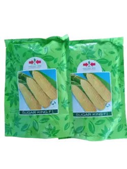 بذر ذرت شیرین شوگر کینگ (چند بلاله)