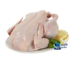 مرغ سبز شمال