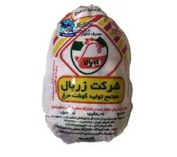 مرغ زربال شمال