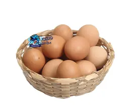 تخم غاز