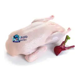 اردک وحشی