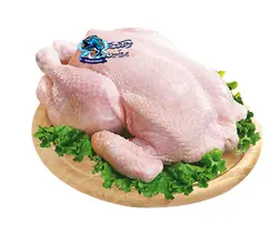 زیبا مرغ اصفهان