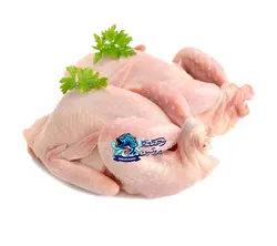 بلدرچین