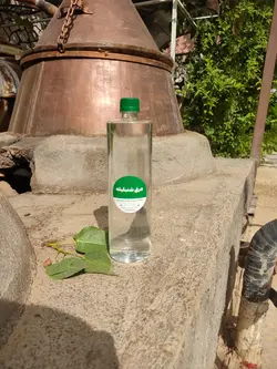 عرق شنبلیله