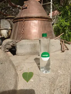 عرق گشنیز