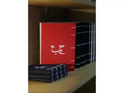 دفتر خاطرات حب