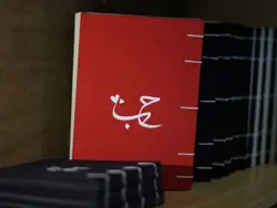 دفتر خاطرات حب