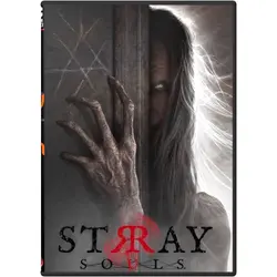 بازی کامپیوتر Stray Souls