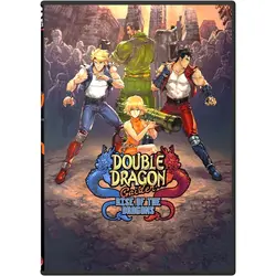 بازی کامپیوتر Double Dragon Gaiden: Rise Of The Dragons