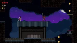 بازی کامپیوتر Chronicles of 2 Heroes: Amaterasu’s Wrath