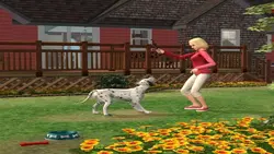 بازی کامپیوتر The Sims Stories Collection