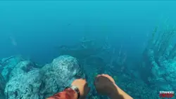 بازی کامپیوتر Stranded Deep