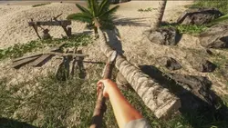 بازی کامپیوتر Stranded Deep