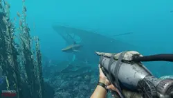 بازی کامپیوتر Stranded Deep