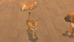بازی کامپیوتر My Universe Puppies and Kittens