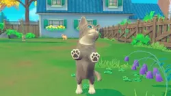 بازی کامپیوتر My Universe Puppies and Kittens